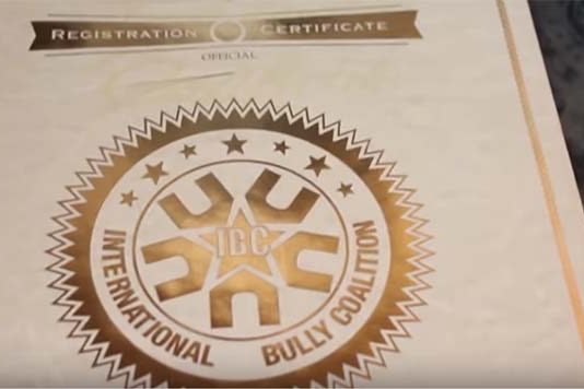 American Bully Registro – Kennel Clubes que reconhecem a raça American Bully Registro - Kennel Clubes que reconhecem a raça