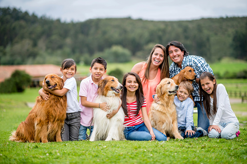 Cachorros Familia Cachorros Familia